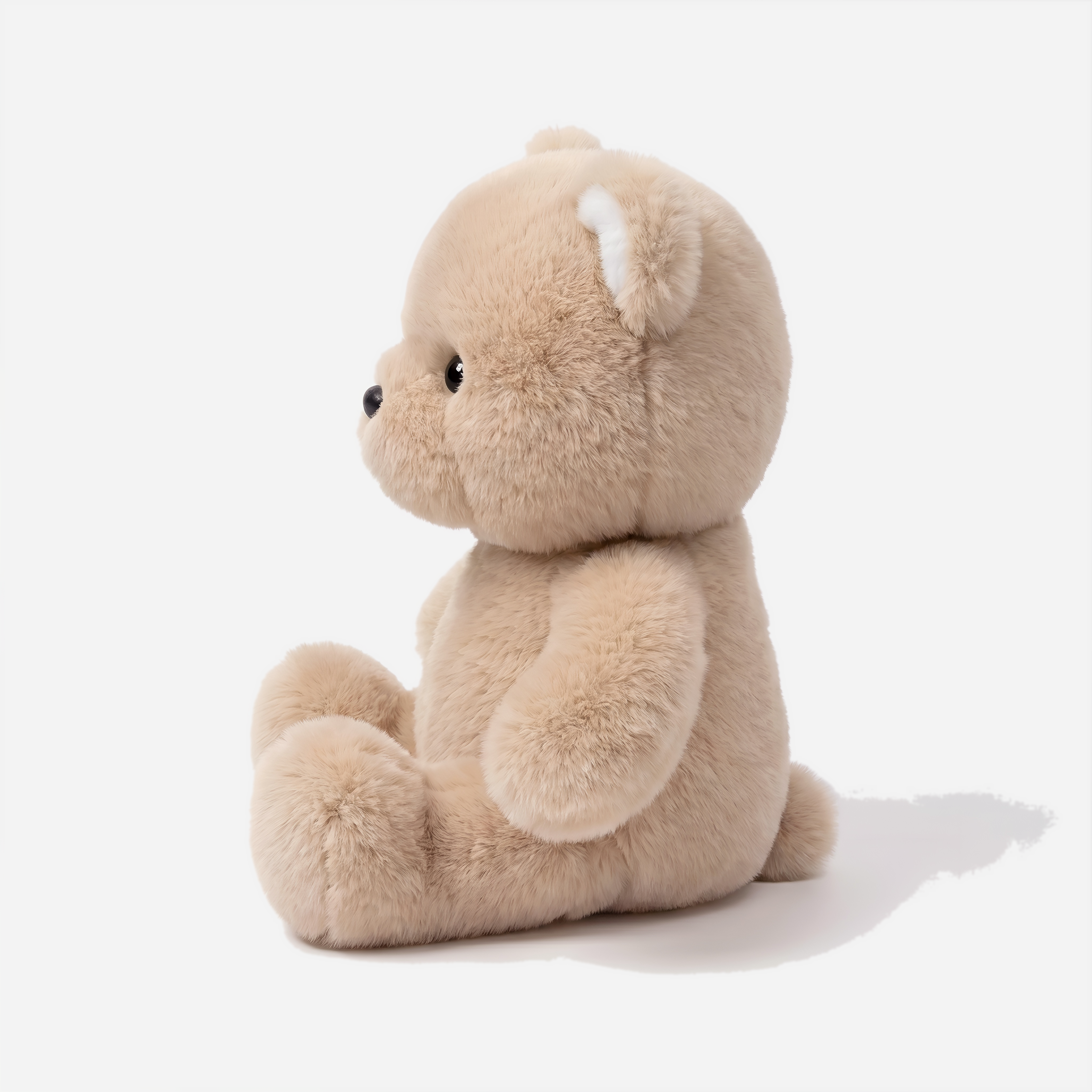 Teddy-Wupplie